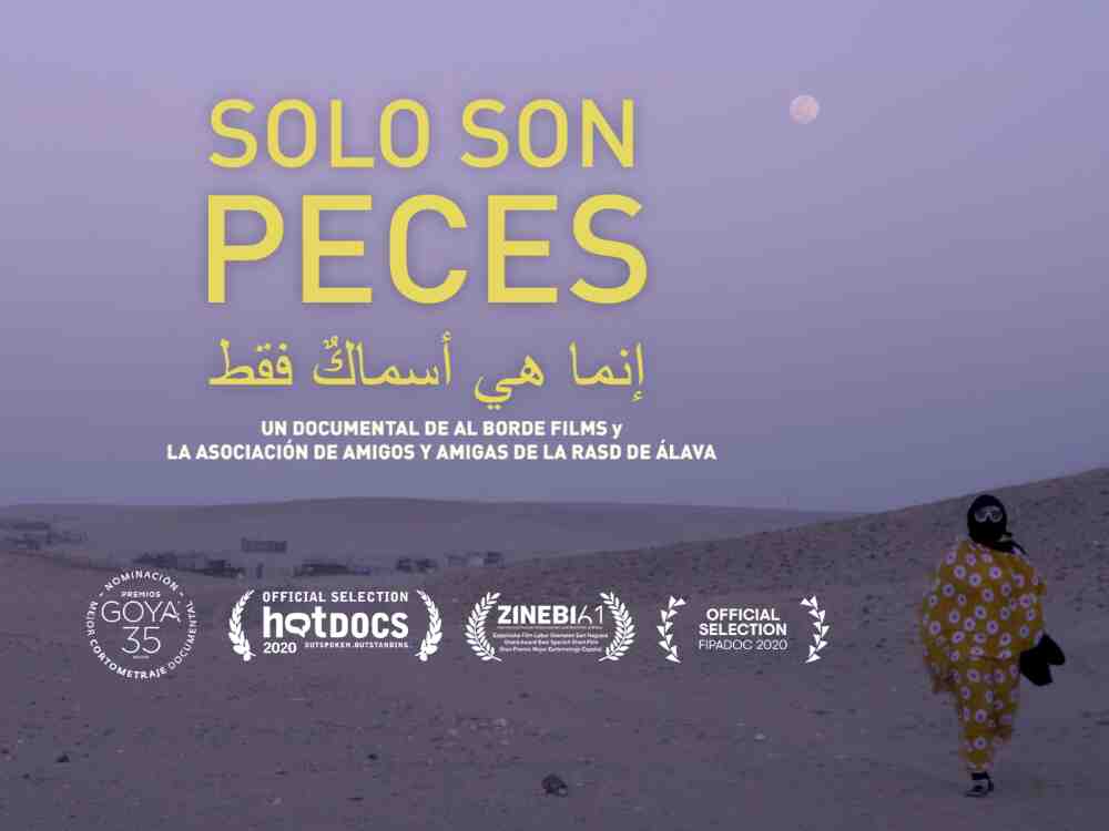 Solo son peces
